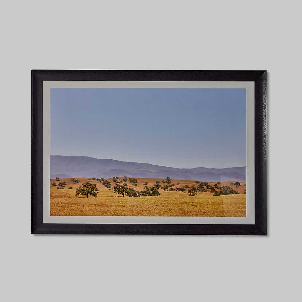"Santa Ynez Valley" by Karyn Millet